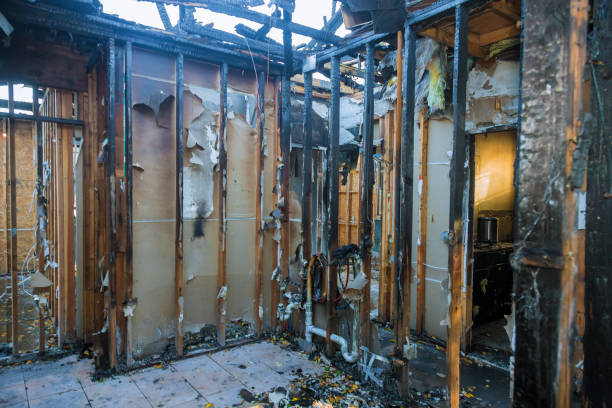 Professional Odor Removal technician working in Southgate, MI